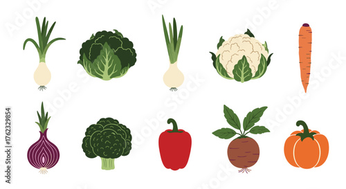 Fresh vegetables collection: healthy food and organic ingredients.