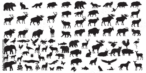 Diverse collection of wildlife animal silhouettes for design projects vector