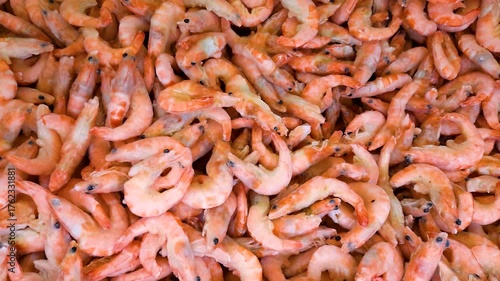 Northern shrimp heap movement. View from above.