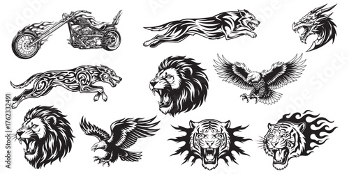 Wild animal and motorcycle grunge style art collection vector