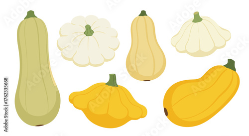 Various colorful squash vegetables isolated on white background.