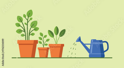 Growing plants in pots with watering can gardening concept.