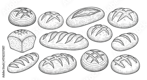 Assortment of Freshly Baked Breads Hand Drawn Sketch Illustration.