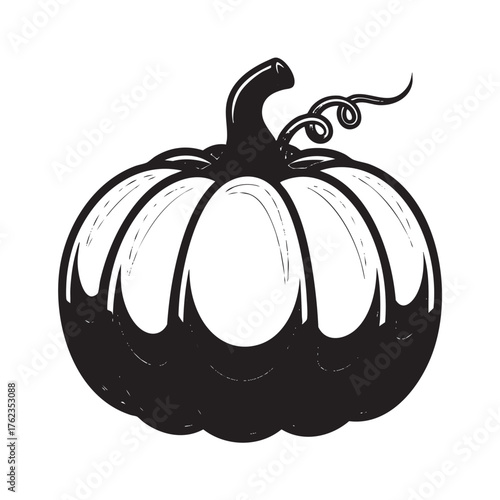 Black and white graphic illustration of a round pumpkin with a curly vine and stem squash gourd