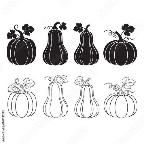 Black and white vector illustrations of various pumpkins and gourds with leaves and vines squash