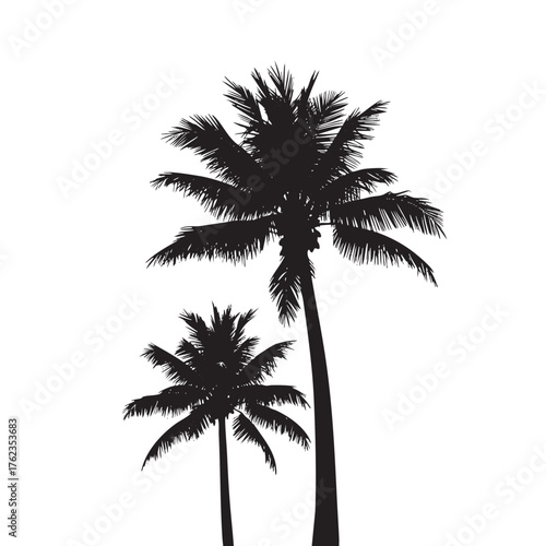 Black silhouette of two palm trees with detailed fronds against a white background tropical