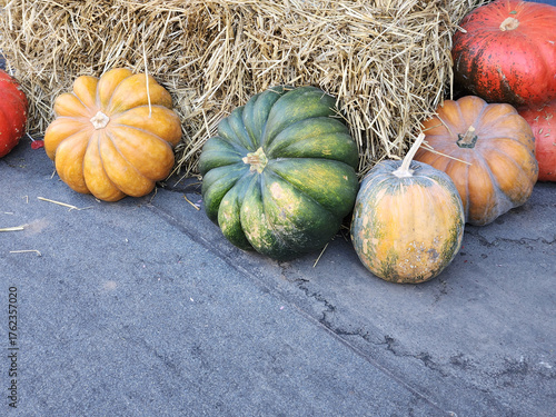 Autumn pumpkin harvest. Pumpkin card. Pumpkin fruits