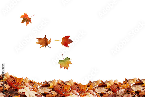 Stock photo of autumn leaves falling background seasonal foliage nature october november scene fall 100