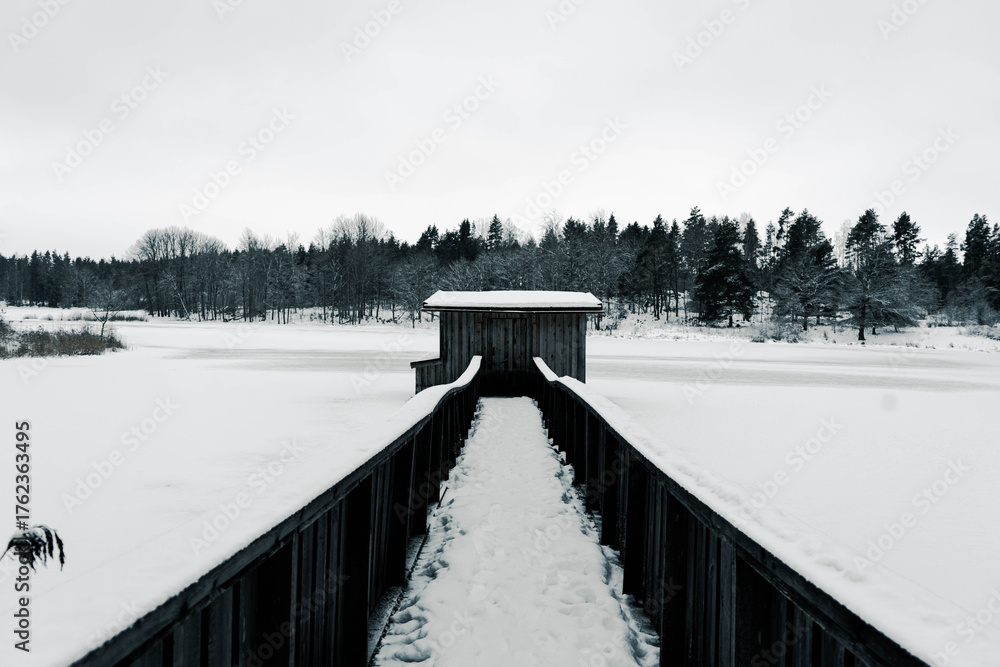 Naklejka premium bridge in winter