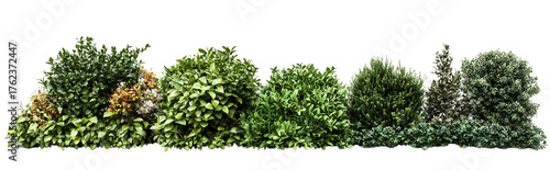 Diverse collection of green bushes and shrubs with varied textures and shapes, high-quality PNG cutout with transparent or white background