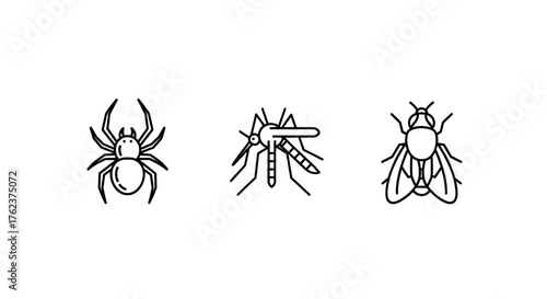 Simple line art icons representing common insects and arachnids.