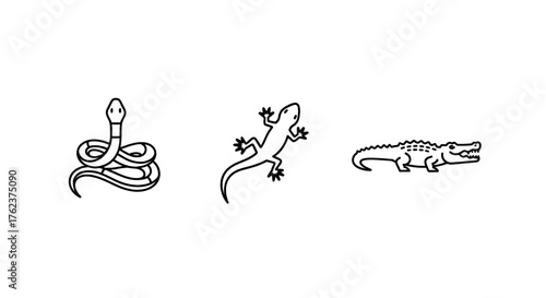 Simple line art icons of a coiled snake, a lizard, and an alligator against a white background.