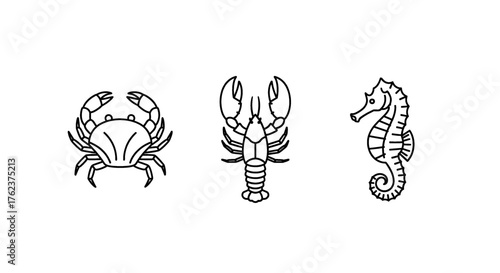 Minimalist line art illustrations of a crab, lobster, and seahorse on a white background