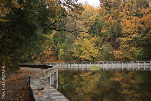 lake in autumn park surrounded by colorful trees