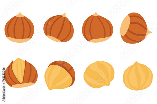 chestnut vector logo Isolated on white background.
