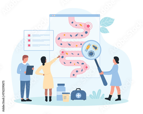Gut microbiome research, gastrointestinal health vector illustration. Cartoon tiny people with magnifying glass check good and bad bacteria, microbiota on infographic anatomy chart of human bowel