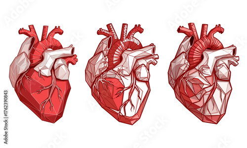 Low poly human heart vector set – polygonal anatomical heart illustrations in red for medical, science, education, design