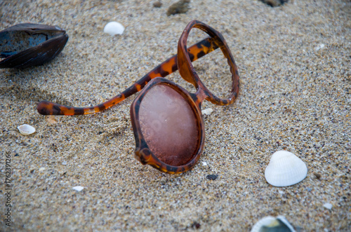Abandoned Tortoiseshell Sunglasses and Shells on Beach Sand