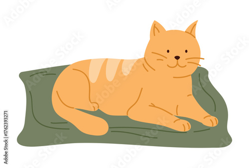 Adorable orange cat lying comfortably on a green mat isolated on white vector illustration