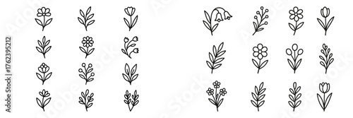 Variety of hand-drawn flower and leaf designs arranged in two sections for artistic inspiration and craft projects