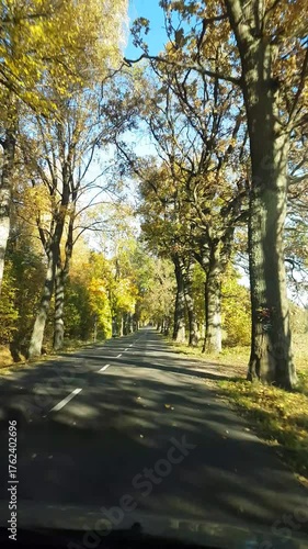 An autumn landscape seen through the window of a moving car