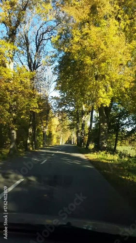 An autumn landscape seen through the window of a moving car