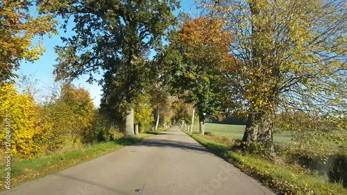 An autumn landscape seen through the window of a moving car