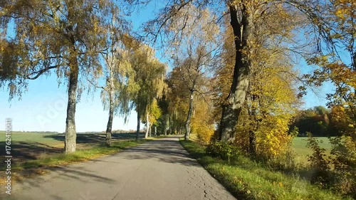 An autumn landscape seen through the window of a moving car