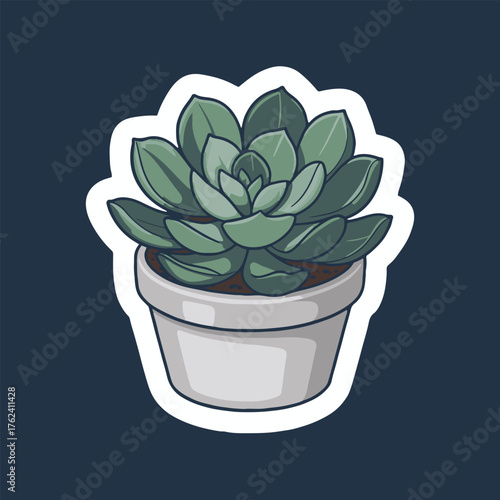 A succulent plant with green leaves in a white pot on a dark blue background sticker illustration