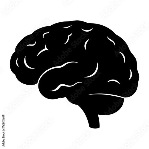 Vector art of detailed human brain illustration, showcasing the intricate folds and structures of the organ of thought and intelligence