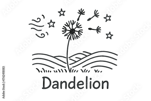 Dandelion Dreamscape. Doodle dandelion with stars, wind, and fields, center word “Dandelion” in black and white isolated