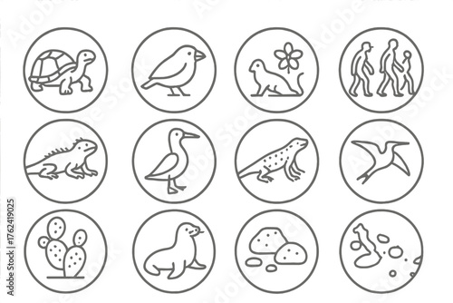 Galapagos Wildlife Icons. Line style round icons of Galapagos: tortoise, finch, unique species, evolution; marine iguana,