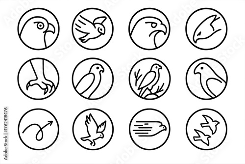 Raptor Traits Icons. Line style round icons of raptor traits: keen vision, silent flight, curved beak, fast dive; strong grip,