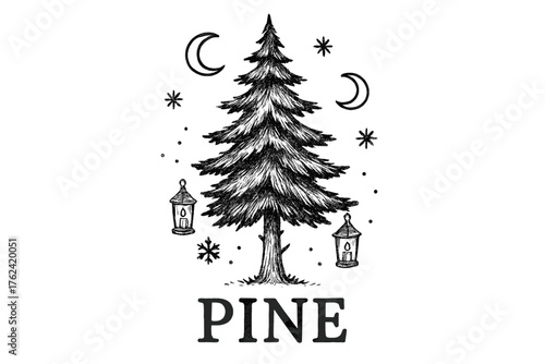 Pine Tree Illustration. Hand-drawn pine tree with moons, snowflakes, and lanterns, center word “Pine” in black and white isolated