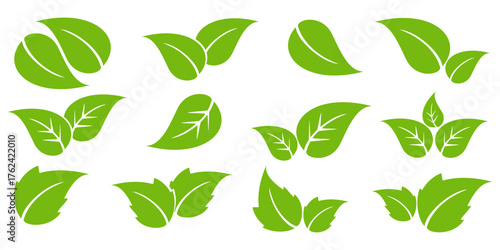 Leaf illustration in flat style, green leaves, nature theme, forest, garden and trees. plant ecosystem