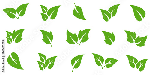 Leaf illustration in flat style, green leaves, nature theme, forest, garden and trees. plant ecosystem