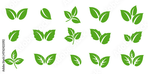 Leaf illustration in flat style, green leaves, nature theme, forest, garden and trees. plant ecosystem
