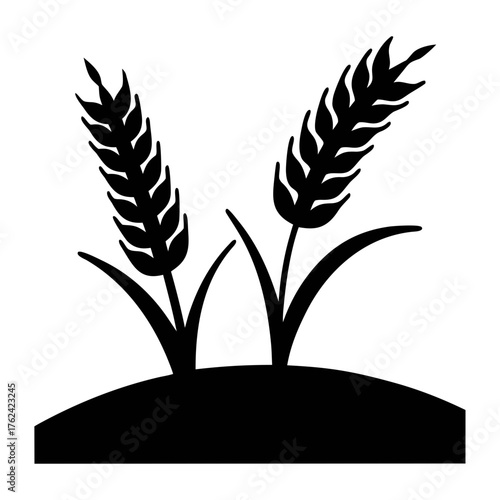 Wheat field vector illustration agriculture crop farm harvest grain food organic symbol icon design
