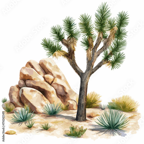 Joshua Tree National Park. Joshua Tree National Park hand drawn watercolor illustration