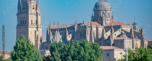 View of salamanca cathedral from enrique estevez bridge