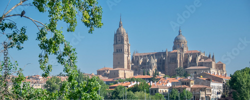 View of salamanca cathedral from enrique estevez bridge