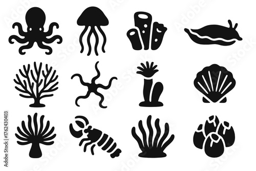 Marine Invertebrate Icons. Solid style icons of Marine invertebrates: octopus, jellyfish, sponge, sea slug, sea fan, brittle star,
