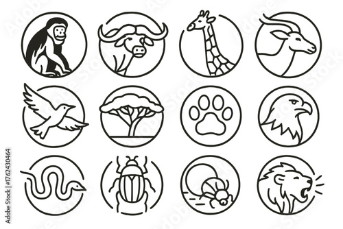 Kilimanjaro Wildlife Icons. Line style round icons of wildlife near Kilimanjaro: colobus monkey, buffalo, giraffe, antelope; bird