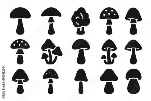 Poisonous Mushroom Icons. Solid style icons of Poisonous mushrooms to avoid: death cap, destroying angel, false morel, fly agaric,