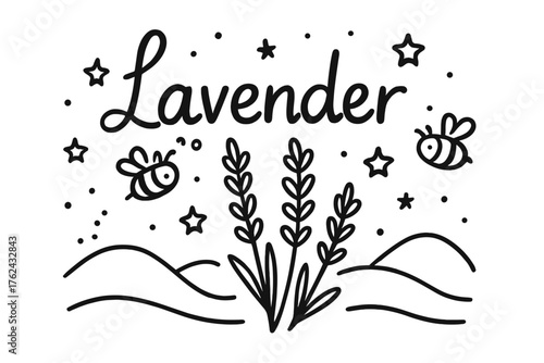 Lavender Doodle Art. Doodle lavender with stars, bees, and hills, center word “Lavender” in black and white isolated transparent