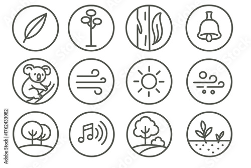 Eucalyptus Forest Icons. Line style round icons of eucalyptus forest: eucalyptus leaf, tall trunk, peeling bark, seed pod; koala