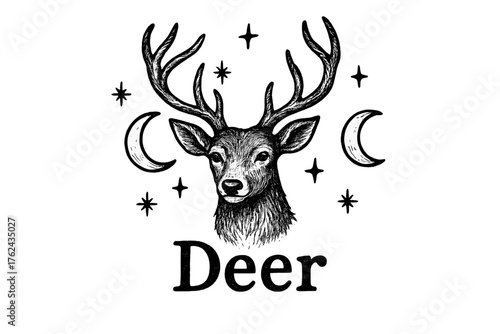 Celestial Deer Art. Hand-drawn deer with antlers, moons, and stars, center word “Deer” in black and white isolated transparent
