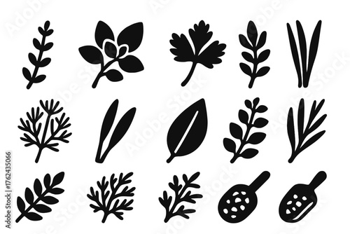Culinary Herb Icons. Solid style icons of Culinary Herbs: thyme stem, oregano bunch, parsley leaf, sage sprig, dill cluster, chive
