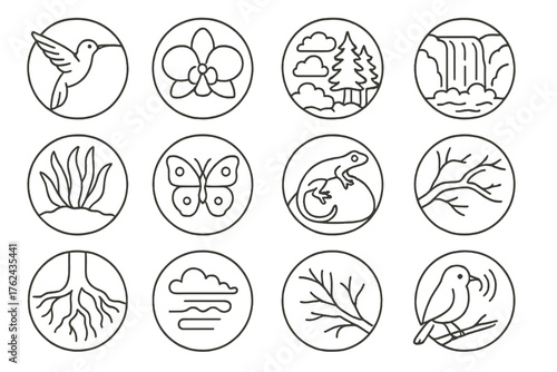 Nature Trail Icons. Line style round icons of nature on the trail: hummingbird, orchid, cloud forest, waterfall; moss, fern,
