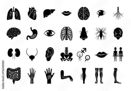 Human Anatomy Icons - A Detailed Collection of Body Parts.